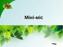 Mini_mis