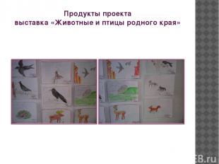 Продукты проекта выставка «Животные и птицы родного края»