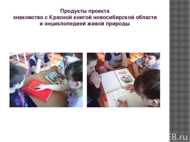 Продукты проекта знакомство с Красной книгой новосибирской области и энциклопедией живой природы