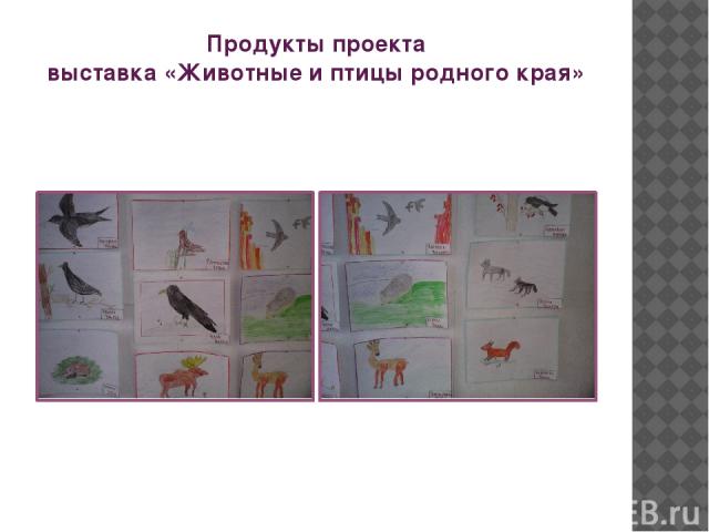 Продукты проекта выставка «Животные и птицы родного края»