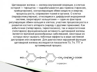 Щитовидная железа — железа внутренней секреции, в клетках которой — тироцитах —