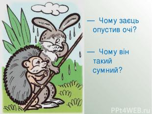   — Чому заєць опустив очі? — Чому він такий сумний?