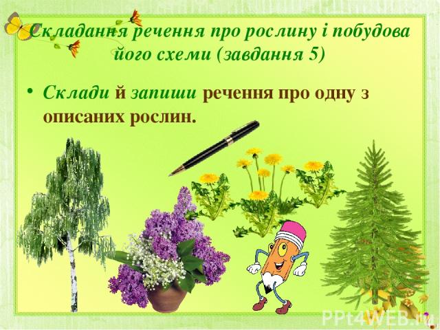 Складання речення про рослину і побудова його схеми (завдання 5) Склади й запиши речення про одну з описаних рослин.