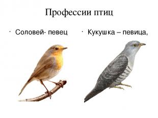 Профессии птиц Соловей- певец Кукушка – певица, счетовод