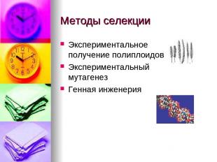 Методы селекции Экспериментальное получение полиплоидов Экспериментальный мутаге