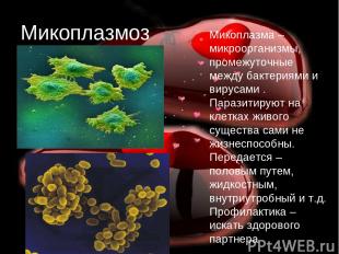 Микоплазмоз Микоплазма – микроорганизмы, промежуточные между бактериями и вируса
