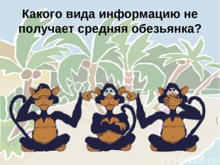 Какого вида информацию не получает средняя обезьянка?