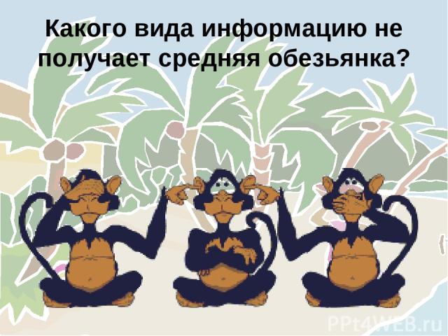 Какого вида информацию не получает средняя обезьянка?