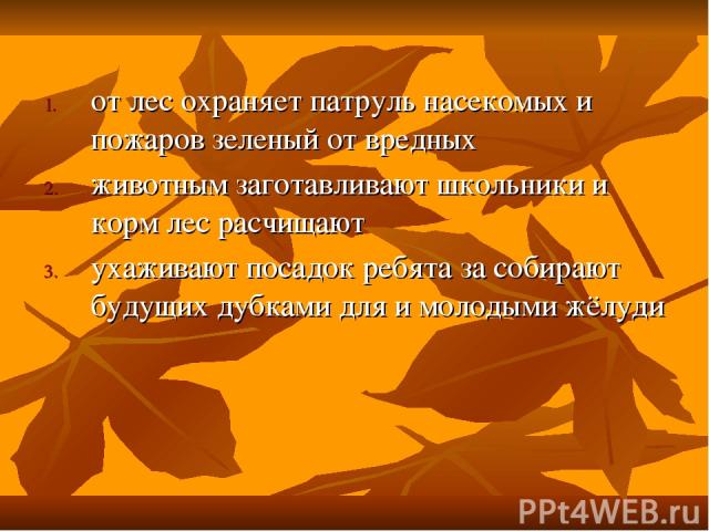 от лес охраняет патруль насекомых и пожаров зеленый от вредных животным заготавливают школьники и корм лес расчищают ухаживают посадок ребята за собирают будущих дубками для и молодыми жёлуди