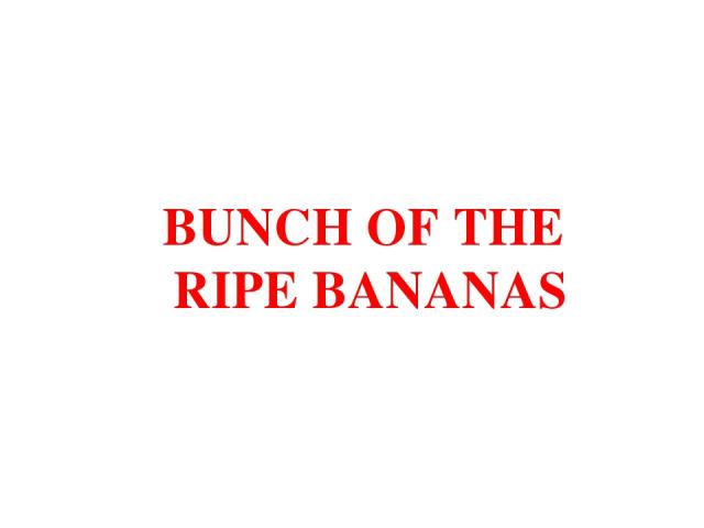 BUNCH OF THE RIPE BANANAS