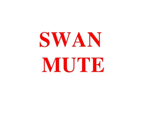 SWAN MUTE