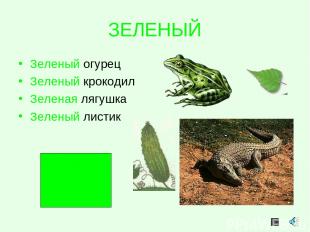 ЗЕЛЕНЫЙ Зеленый огурец Зеленый крокодил Зеленая лягушка Зеленый листик