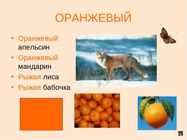ОРАНЖЕВЫЙ Оранжевый апельсин Оранжевый мандарин Рыжая лиса Рыжая бабочка