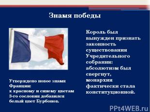 Утверждено новое знамя Франции: к красному и синему цветам 3-го сословия добавил