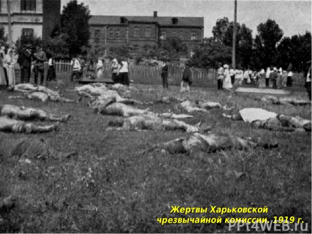 Жертвы Харьковской чрезвычайной комиссии. 1919 г.
