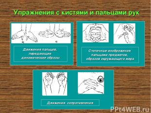 Упражнения с кистями и пальцами рук Движения пальцев, передающие динамические об