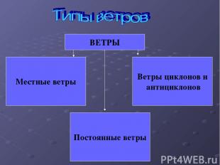 Местные ветры Постоянные ветры Ветры циклонов и антициклонов ВЕТРЫ