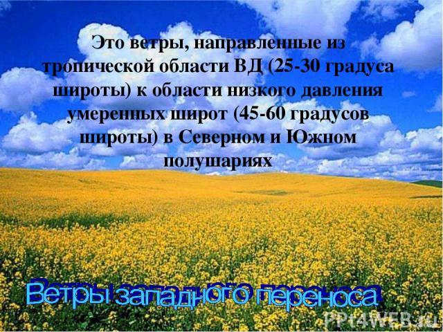 Это ветры, направленные из тропической области ВД (25-30 градуса широты) к области низкого давления умеренных широт (45-60 градусов широты) в Северном и Южном полушариях