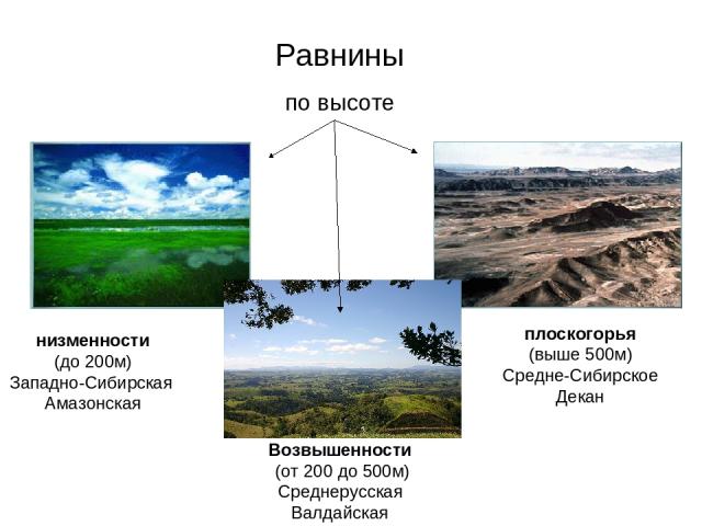 Равнины по высоте низменности (до 200м) Западно-Сибирская Амазонская плоскогорья (выше 500м) Средне-Сибирское Декан Возвышенности (от 200 до 500м) Среднерусская Валдайская