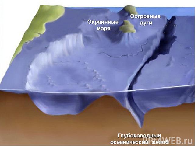 Переходная зона Глубоководный океанический желоб Островные дуги Окраинные моря