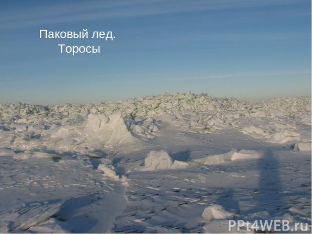 Айсберг Дрейфующий лед Паковый лед. Торосы