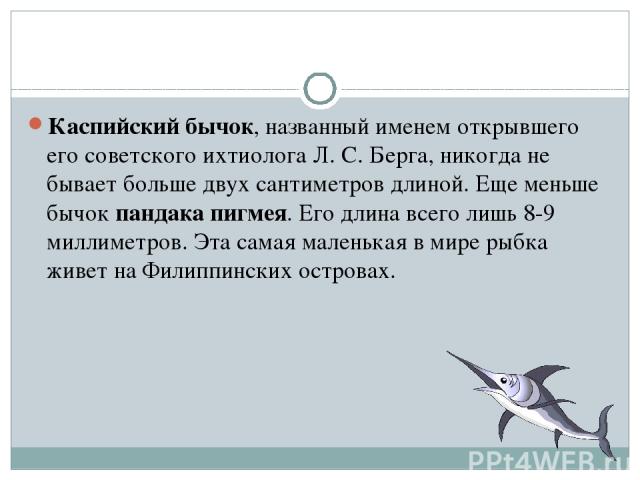 Каспийский бычок, названный именем открывшего его советского ихтиолога Л. С. Берга, никогда не бывает больше двух сантиметров длиной. Еще меньше бычок пандака пигмея. Его длина всего лишь 8-9 миллиметров. Эта самая маленькая в мире рыбка живет на Фи…