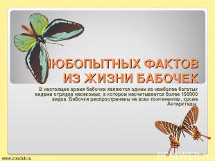 50 ЛЮБОПЫТНЫХ ФАКТОВ ИЗ ЖИЗНИ БАБОЧЕК В настоящее время бабочки являются одним и
