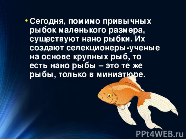 Сегодня, помимо привычных рыбок маленького размера, существуют нано рыбки. Их создают селекционеры-ученые на основе крупных рыб, то есть нано рыбы – это те же рыбы, только в миниатюре. http://zooclub.ru/samye/malenkie_nano_rybki.shtml