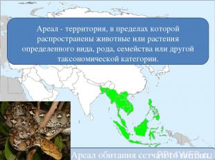 Ареал - территория, в пределах которой распространены животные или растения опре