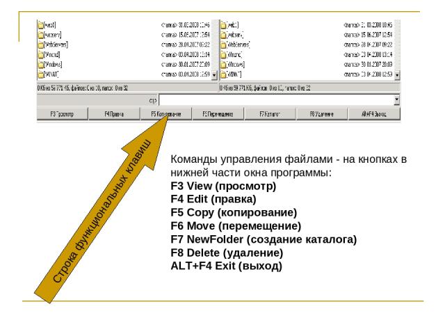Команды управления файлами - на кнопках в нижней части окна программы: F3 View (просмотр) F4 Edit (правка) F5 Copy (копирование) F6 Move (перемещение) F7 NewFolder (создание каталога) F8 Delete (удаление) ALT+F4 Exit (выход) Строка функциональных клавиш