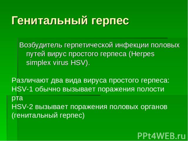 Генитальный герпес Возбудитель герпетической инфекции половых путей вирус простого герпеса (Herpes simplex virus HSV). Различают два вида вируса простого герпеса: HSV-1 обычно вызывает поражения полости рта HSV-2 вызывает поражения половых органов (…