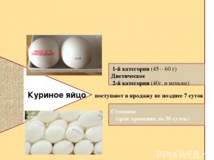 Какую информацию содержит штамп на яйце Столовое (срок хранения до 30 суток) 1-й