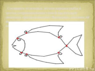  Соединить отдельные детали каркаса рыбы в местах соприкосновения тонкой проволо