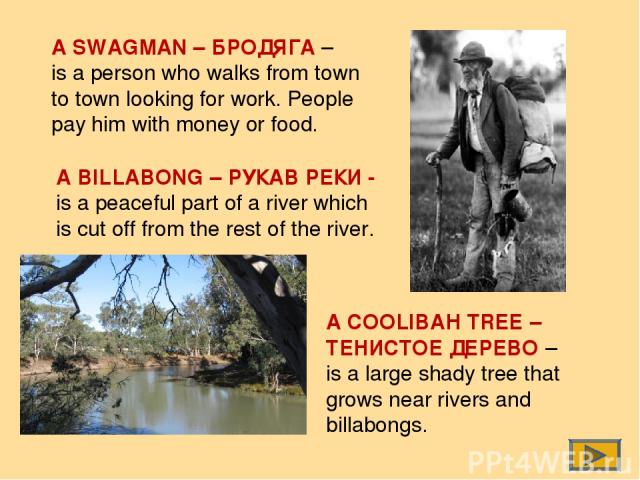 A SWAGMAN – БРОДЯГА – is a person who walks from town to town looking for work. People pay him with money or food. A BILLABONG – РУКАВ РЕКИ - is a peaceful part of a river which is cut off from the rest of the river. A COOLIBAH TREE – ТЕНИСТОЕ ДЕРЕВ…