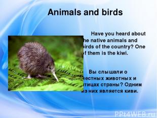 Animals and birds Have you heard about the native animals and birds of the count