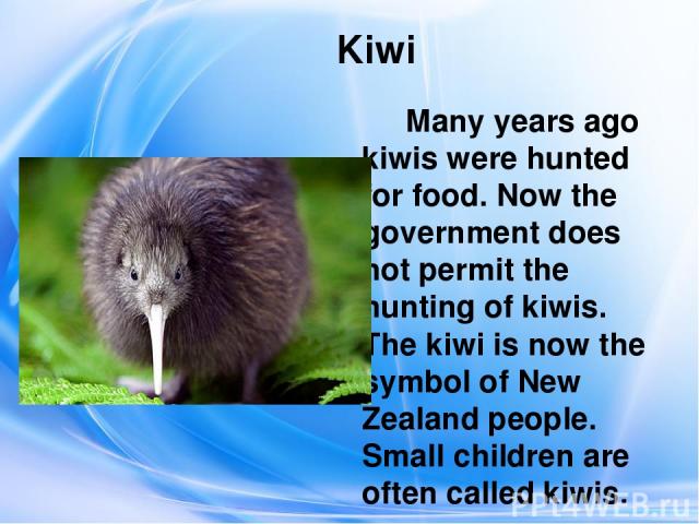 Kiwi Many years ago kiwis were hunted for food. Now the government does not permit the hunting of kiwis. The kiwi is now the symbol of New Zealand people. Small children are often called kiwis. Много лет назад на киви охотились для пищи. Теперь прав…