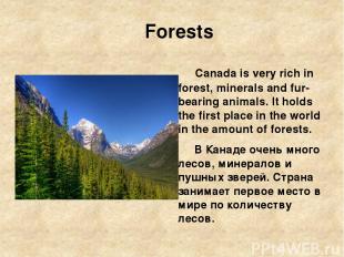 Forests Canada is very rich in forest, minerals and fur-bearing animals. It hold