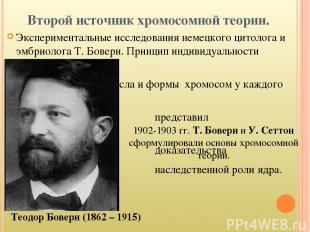 Второй источник хромосомной теории. Экспериментальные исследования немецкого цит