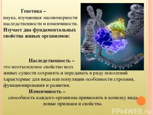 Генетика – наука, изучающая закономерности наследственности и изменчивости. Изуч