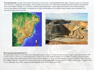 По разнообразию полезных ископаемых бразильское плоскогорье –уникальнейший район