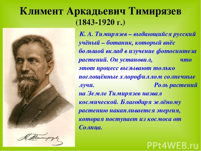 Климент Аркадьевич Тимирязев (1843-1920 г.) К. А. Тимирязев – выдающийся русский учёный – ботаник, который внёс большой вклад в изучение фотосинтеза растений. Он установил, что этот процесс вызывают только поглощённые хлорофиллом солнечные лучи. Рол…