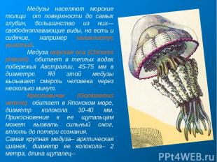Медузы населяют морские толщи от поверхности до самых глубин, большинство из них