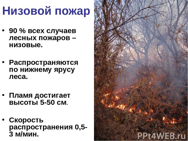 Низовой пожар 90 % всех случаев лесных пожаров – низовые. Распространяются по нижнему ярусу леса. Пламя достигает высоты 5-50 см. Скорость распространения 0,5-3 м/мин.