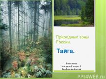 Природные зоны России - Тайга