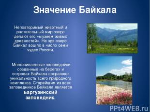 Значение Байкала Неповторимый животный и растительный мир озера делают его «музе