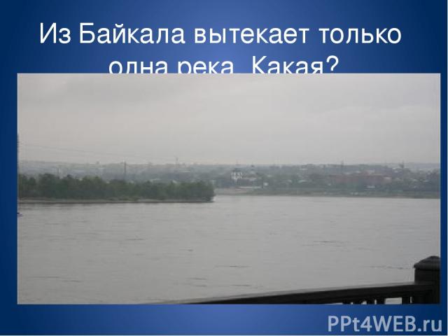 Из Байкала вытекает только одна река. Какая?