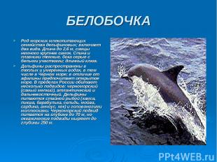БЕЛОБОЧКА Род морских млекопитающих семейства дельфиновых; включает два вида. Дл