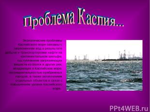 Экологические проблемы Каспийского моря связаны с загрязнением вод в результате