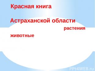 Красная книга &nbsp; Астраханской области&nbsp; растения животные