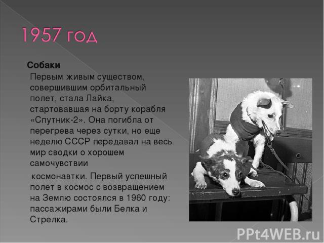 Собаки Первым живым существом, совершившим орбитальный полет, стала Лайка, стартовавшая на борту корабля «Спутник-2». Она погибла от перегрева через сутки, но еще неделю СССР передавал на весь мир сводки о хорошем самочувствии   космонавтки. Первый …